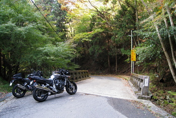 大沢岩野辺線 - r520 - 鹿渕橋 大沢岩野辺線 - r520 - 鹿渕橋