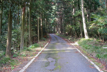 細野白口林道 細野白口林道