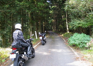 細野白口林道 細野白口林道
