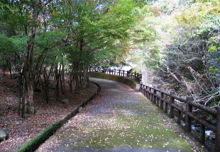 箕面川ダム 箕面川ダム