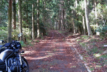 細野白口林道 細野白口林道