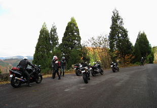 細野白口林道 白口峠 細野白口林道 白口峠
