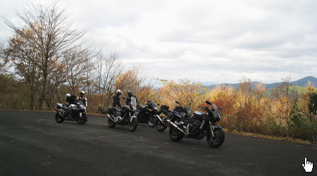 細野白口林道 白口峠 細野白口林道 白口峠