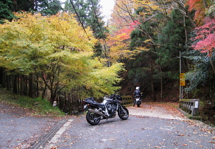 細野白口林道 細野白口林道