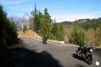 ダルガ峰林道 ダルガ峰林道