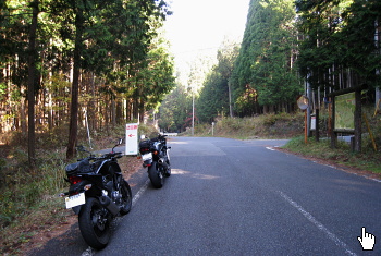 ダルガ峰林道 ダルガ峰林道