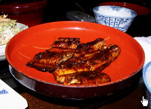 うなぎ定食 うなぎ定食