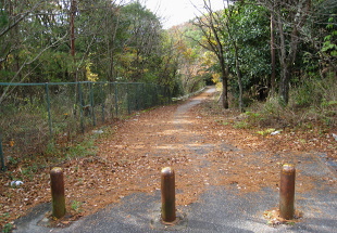 名塩ダム 名塩ダム
