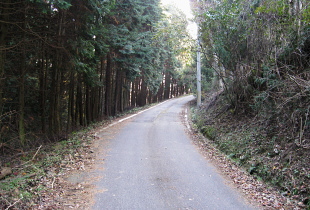 林道1号鷲峰山線 突入! 林道1号鷲峰山線 突入!