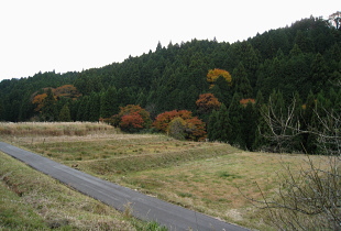 山女原 - 【あけびはら】と読む 山女原 - 【あけびはら】と読む