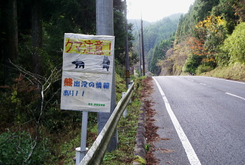 熊出没注意! 熊出没注意!