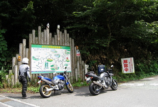 河合谷林道 河合谷林道