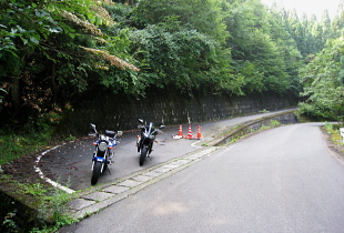 大道中江林道 大道中江林道