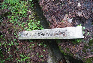 大道中江林道 大道中江林道