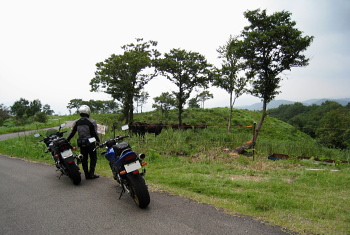 海上林道 上山高原 海上林道 上山高原