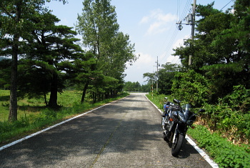 丸味竹田線 - r265 - 丸味竹田線 - r265 -