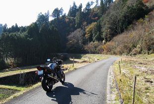 袖原向日線 - r733 - 袖原向日線 - r733 -