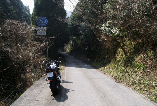 袖原向日線 - r733 - 袖原向日線 - r733 -