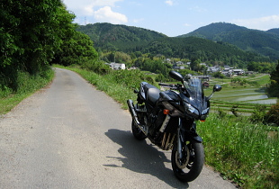 布留道林道 布留道林道