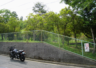 芝谷古墳 芝谷古墳