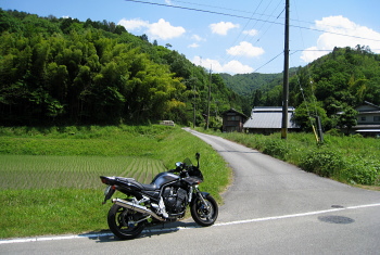 曽地奥林道 - 北側 曽地奥林道 - 北側