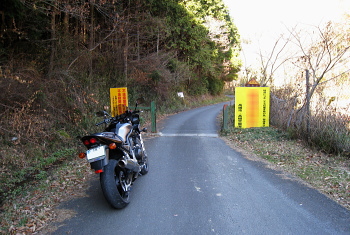桜木林道 桜木林道