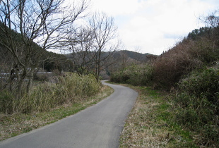 下音羽川の道 下音羽川の道