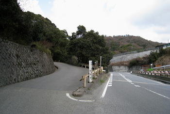 車作大橋 車作大橋