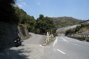 車作大橋 側 車作大橋 側