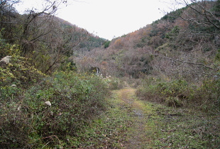 下音羽川沿いの道 徒歩探索 下音羽川沿いの道 徒歩探索