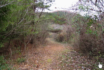 約620m進んだ地点 約620m進んだ地点
