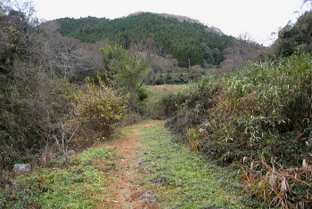 下音羽川沿いの道 下音羽川沿いの道
