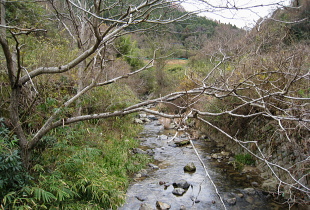 下音羽川沿いの道 下音羽川沿いの道