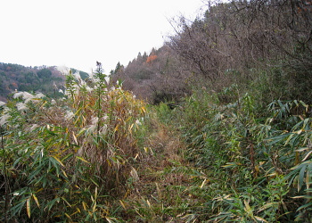 H쉈̓