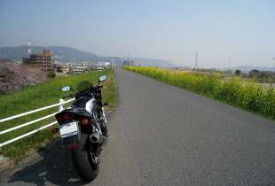 淀川堤防の道 淀川堤防の道