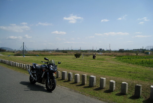 淀川河川公園 淀川河川公園