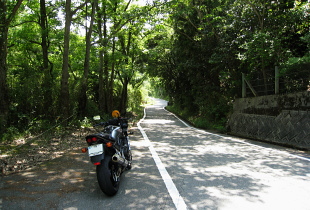 三田後川上線 - r37 - 三田後川上線 - r37 -
