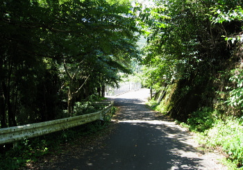 由良川ダム 由良川ダム