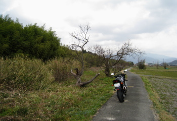 Ts ]䕔  