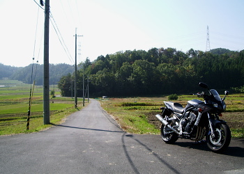 氷所神吉林道 - r50 - 側 氷所神吉林道 (紅葉峠)