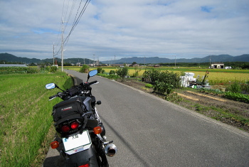 Ts 䒬  