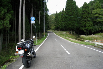 sk - r61 -