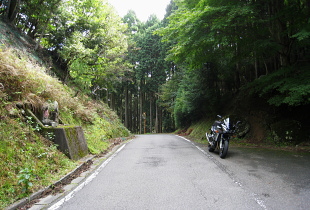 sk - r61 - ˓