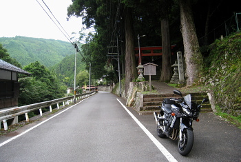 sk - r61 - _