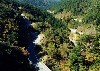 大杉谷海山線 旧大杉林道 r603 大杉谷海山線 旧大杉林道 r603
