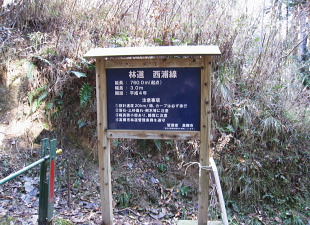 林道 西浦線 林道 西浦線