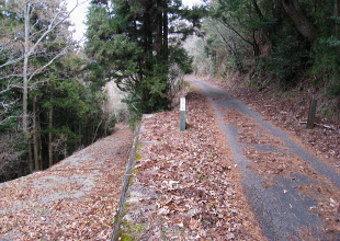 林道 地獄谷線(左下の道) 林道 地獄谷線(左下の道)