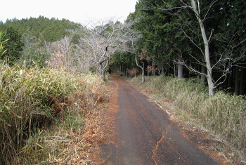 林道 萩谷岡山線 林道 萩谷岡山線