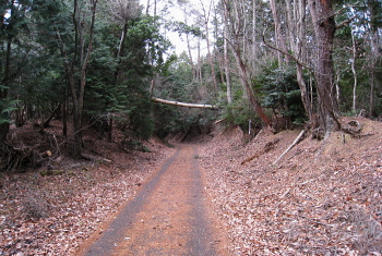 林道 萩谷岡山線 林道 萩谷岡山線