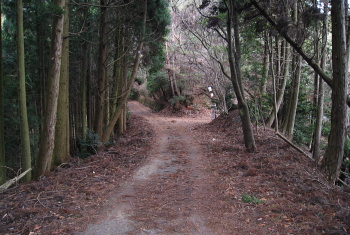林道 萩谷岡山線 林道 萩谷岡山線